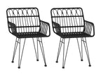 Chaises de jardin lot de 2 avec accoudoir Noir 56x64x80 UXCR31436